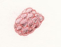 MermaidsSmellLikeRaspberries