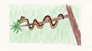 The Python, by Gemma Hoare